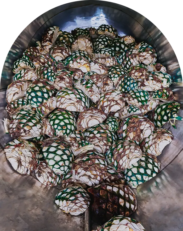 Slow Cook